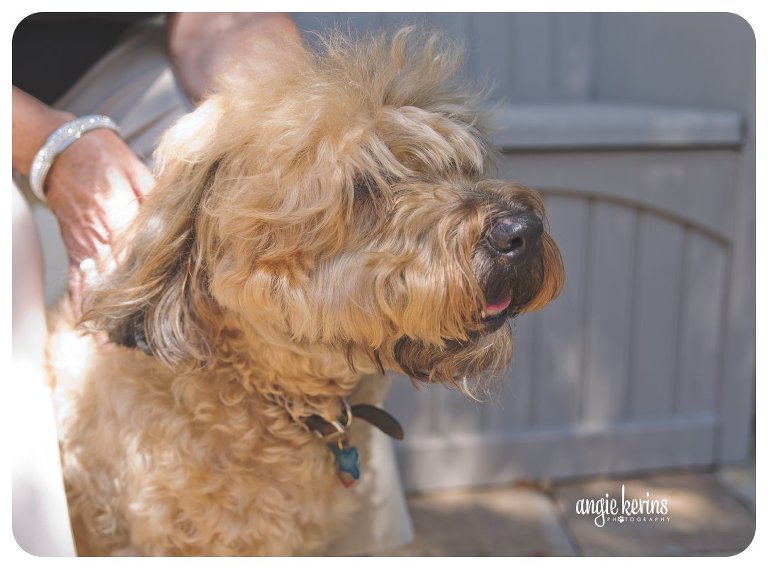 Curly the dog getting a head scratch while enjoying the outdoors with his mom